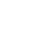 IVI Performance